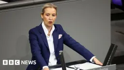 German Court Halts 'Extremist' Label for AfD Party