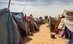 Acute Hepatitis Outbreak Hits Displaced in Sudan