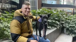 Australian Man Uses AI to Treat Dog’s Cancer