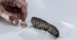 AI Decodes Ancient Roman Scrolls Charred by Mount Vesuvius