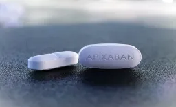 Apixaban Shows Lower Bleeding Risk Than Rivaroxaban in Major Trial
