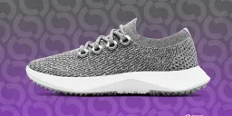 Allbirds Completes AI Pivot, Rebrands as Smartbird Under New CEO