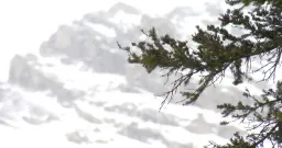 Two Skiers Trapped in Alberta Avalanche; One Unresponsive