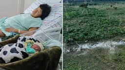 Amazon Tribe's Future Secured: Unexpected Birth Offers Hope for Akuntsu Survival