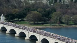 Mass Protests Across US Against Trump