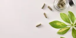 Black Cohosh: Promising Menopause Relief or Risk?