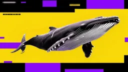 Bitcoin Faces Bearish Signal as Whales Sell into Retail Buying