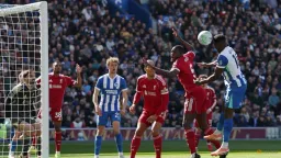Welbeck Double Lifts Brighton Over Struggling Liverpool