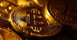 Bull Bitcoin Sues France to Block EU Crypto Surveillance Law