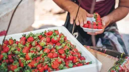 Flavanols: The Heart-Health Secret Your Diet Might Be Missing