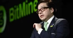 Bitmine Books $3.8 Billion Quarterly Loss on Digital Asset Holdings