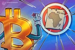 Africa Prefers Satoshis to Dollars: Bitcoin Executive Explains