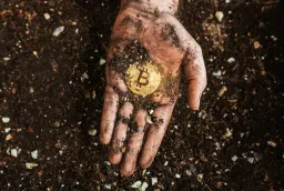 Bitcoin MVRV Z-Score Signals Further Downside Before Bottom