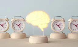 Brain Age: A New Frontier in Diagnosing Mental Health Disorders