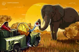 Crypto Philanthropy Fails to Deliver Lasting Impact in Africa