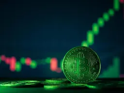 Bitcoin's Two-Year Pattern: 50% Green Months Signal Future Gains?