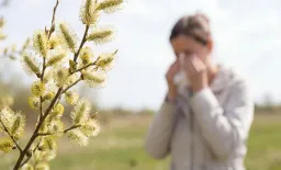 Nanoparticle Nasal Therapy for Allergies Shows Promise