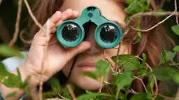 Birdwatching Reshapes Brain Structure to Combat Cognitive Decline