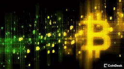 Bitcoin Treasury Crisis Demands Active Management Shift
