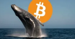 Bitcoin's $72K Rally Faces $80 Million Whale Short Bet