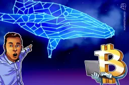 Bitcoin Whales Resume Accumulation at $71K
