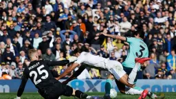 Wolverhampton Wanderers Relegated from Premier League After Eight-Season Stint