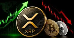 Bitcoin and XRP ETFs Gain Ground as Ethereum Faces Continued Outflows