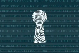 Blockchains Embrace Privacy: The Critical Choice Ahead for Finance