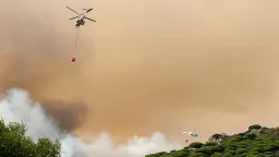 Climate Action: The World's Cheapest Insurance Policy, New Study Reveals