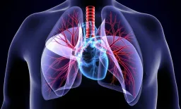 Fitness Boosts COVID-19 Hospitalization Defense, Study Finds