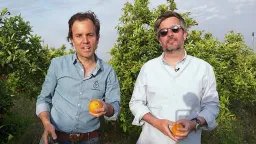 CrowdFarming's Direct Farm-to-Table Model Is Revolutionizing European Agriculture