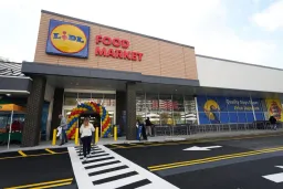 Lidl Recalls Chocolate Ladybugs Over Undeclared Hazelnut Allergen
