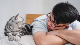 Cats: From Pest Control to Household Parasites?