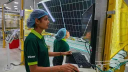 Renewables Surpass Global Energy Demand, Fossil Fuels Decline for First Time