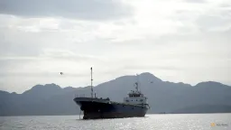 Trump's Strait of Hormuz Blockade: A Calculated Tactical Play