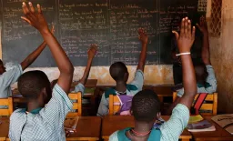 Cerebral Malaria Linked to Lasting Cognitive Deficits in Young Children