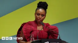 Chimamanda Adichie Accuses Lagos Hospital of Obstructing Son's Death Inquest