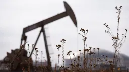 Oil Plunges, Stocks Surge on US-Iran Ceasefire Announcement