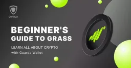 Grass Network Hits $33M Annual Revenue, Governance Vote on Token Payouts Set for July 7