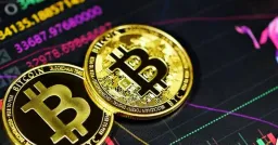 Institutional Bitcoin Holdings Plunge 17% as Hedge Funds Exit