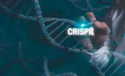 CRISPR-Edited Transplant Shows Safe Engraftment in High-Risk AML