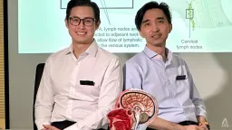 Singapore Trial Tests Surgery for Alzheimer's Treatment