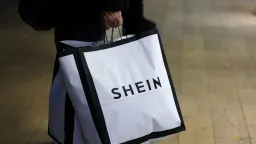 China’s Success Story: From Masking Origins to Chinamaxxing