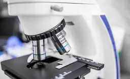 Novel Brain Cancer Therapy Achieves Complete Tumour Regression in Preclinical Model