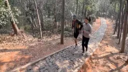 China's Trail Running Boom: Urban Escape Fuels Surge in Events