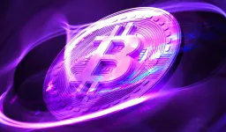 Bitcoin Trader Warns Bull Run Unlikely Amid Stock Market Risks