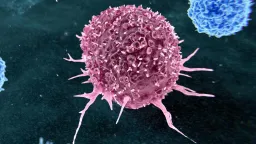 WHO Study: Nearly Half of Preventable Cancers Tied to Smoking and Alcohol