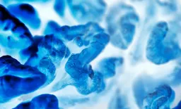 Human Proteome Map Unlocks Cancer Therapy Targets
