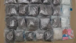 Over S$2 Million Worth of Drugs Seized at Singapore Checkpoints