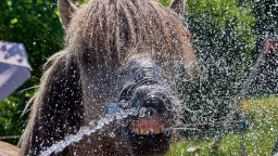 Germany Breaks Heat Record Again, Shattering Previous Day's Mark